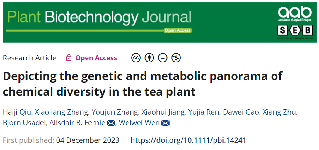 茶学团队发布茶树化学多样性的遗传和代谢全景图